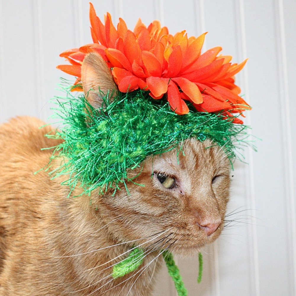 HAND CRAFTED Flower Child Cat Hat Crochet Hairy Wig Costume Photo Prop - Picture 3 of 14